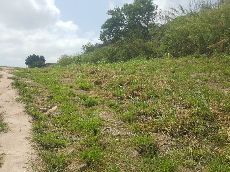 Terreno à venda Cidade Líder com 2350m² e 1 quarto por R$ 2.250.000 - 1217789784-20210930-122120.jpg