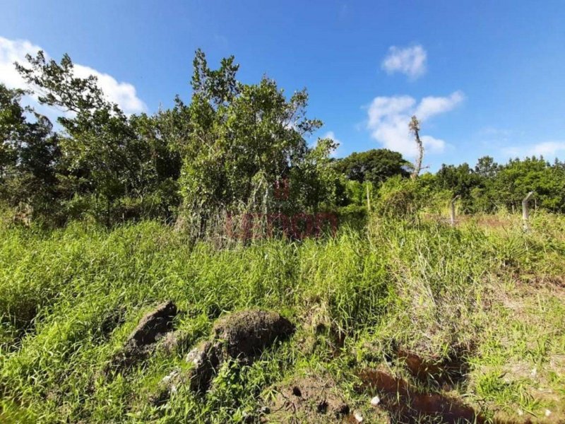 imóvel com 325m² - Mariscal - Bombinhas