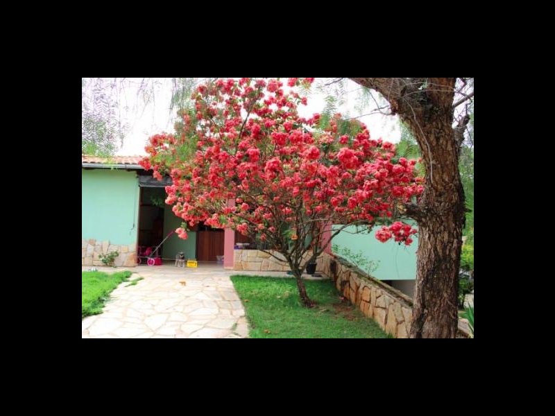 Casa à venda Centro com 120m² e 4 quartos por R$ 750.000 - 991180291-img-6290.jpg