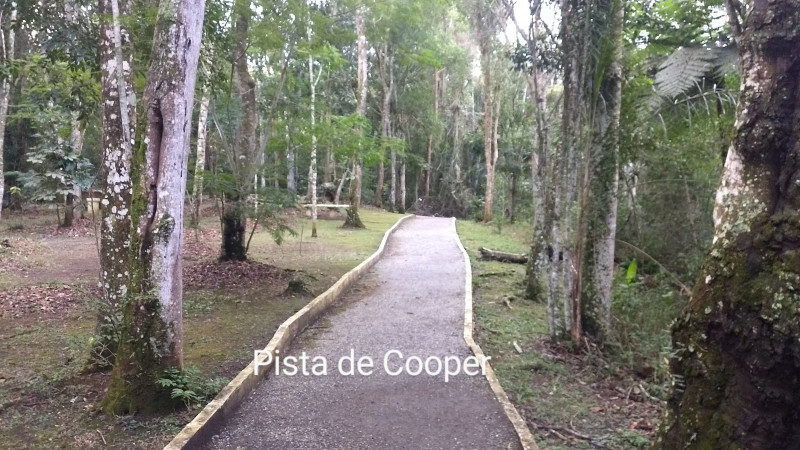 Casa de condomínio à venda Brás com 200m² e 2 quartos por R$ 900.000 - 1969418631-img-20210513-1649100202.jpg