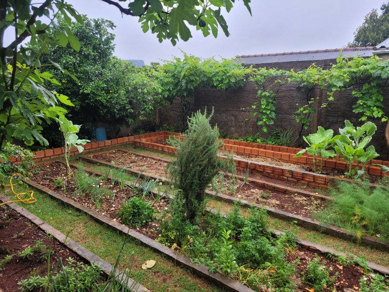 Casa à venda 14 de Novembro com 215m² e 3 quartos por R$ 230.000 - 1593718608-20211003-110706.jpg