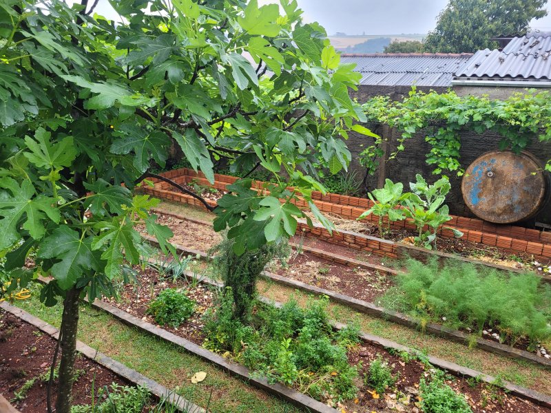 Casa à venda 14 de Novembro com 215m² e 3 quartos por R$ 230.000 - 1889187796-20211003-110700.jpg