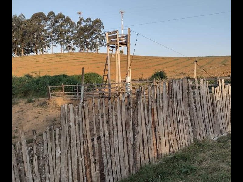 Fazenda à venda Centro com 310000m² e 10 quartos por R$ 101 - 919758440-fb-img-1633300328635.jpg