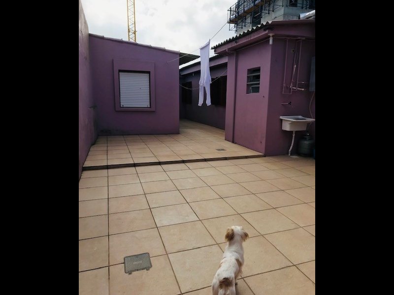 Casa à venda Cidade Nova com 114m² e 3 quartos por R$ 318.000 - 2133605913-quintal1.jpg