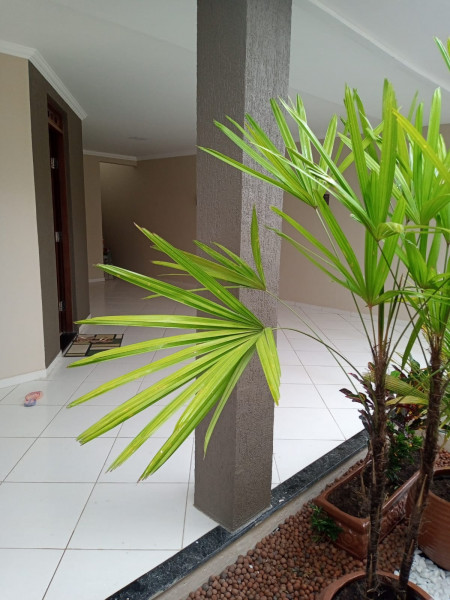 Casa à venda Centro com 240m² e 4 quartos por R$ 450.000 - 1338309682-whatsapp-image-2022-03-29-at-13.jpeg