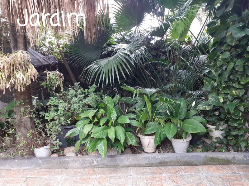 Casa à venda Guaratiba com 90m² e 3 quartos por R$ 550.000 - 1935460710-foto-3-a-jardim.jpg