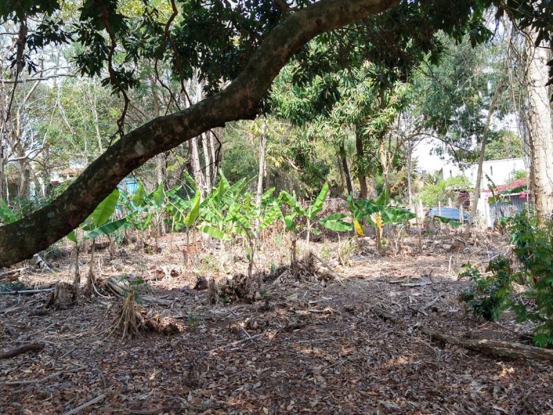 Terreno à venda Joaquim Egídio com 2211m² e 1 quarto por R$ 1.600.000 - 1160706518-img-20210908-wa0086.jpg