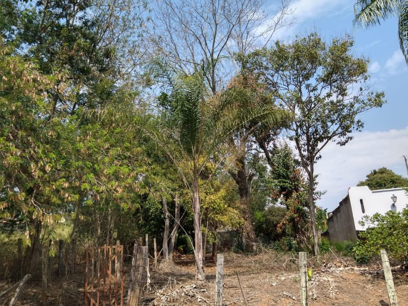 Terreno à venda Joaquim Egídio com 2211m² e 1 quarto por R$ 1.600.000 - 880771707-img-20210908-wa0088.jpg