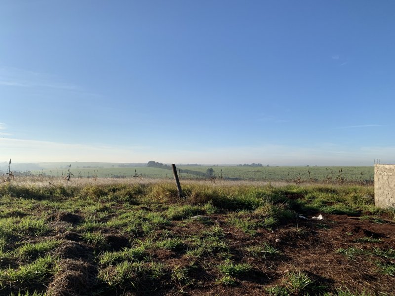 Terreno à venda Jardim Conceição com 250m² e 1 quarto por R$ 160.000 - 595242962-img-1190.JPEG