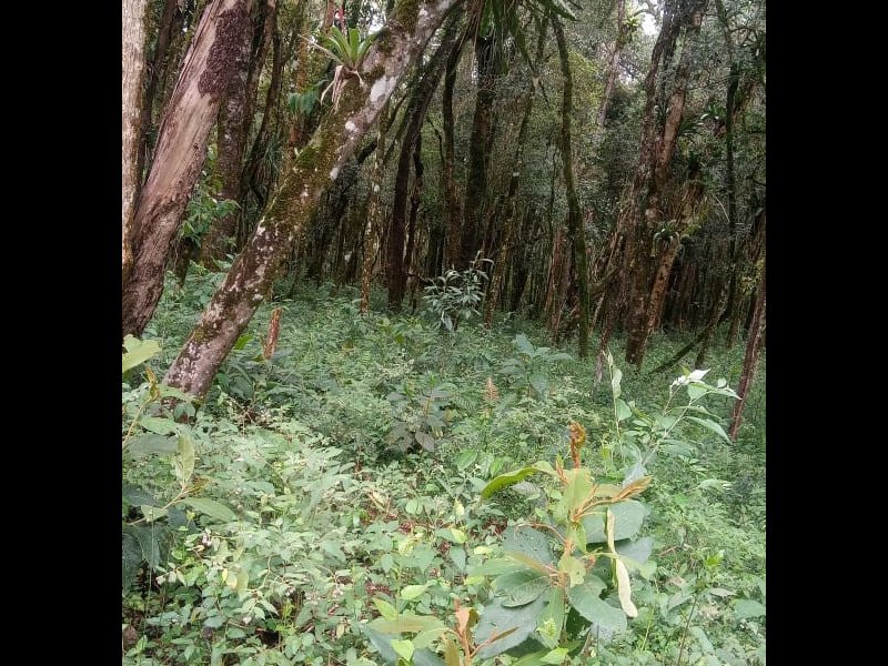 Terreno à venda Centro com 2000m² e 1 quarto por R$ 150.000 - 1010265161-img-20211007-wa0058.jpg