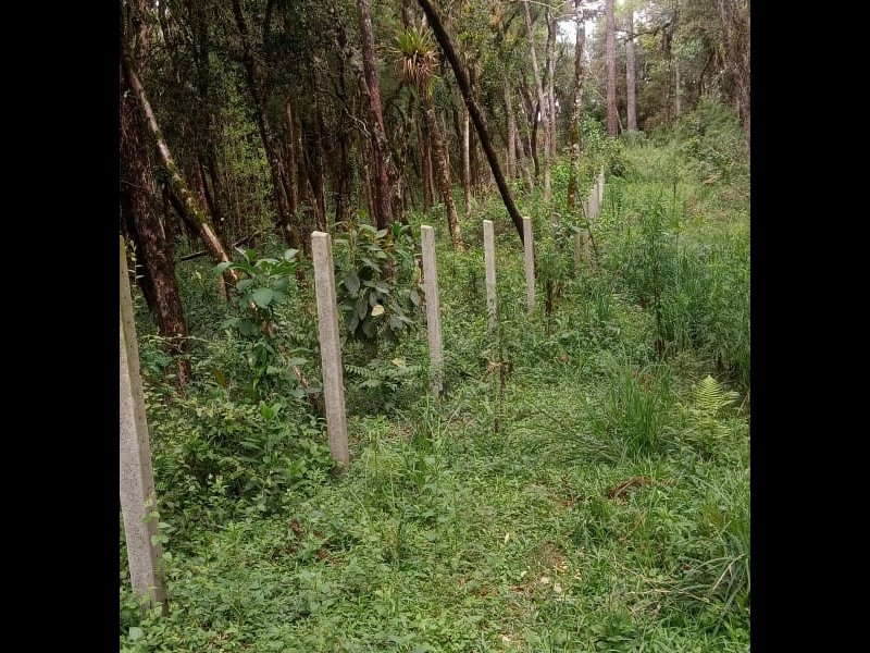 Terreno à venda Centro com 2000m² e 1 quarto por R$ 150.000 - 1087280380-img-20211007-wa0054.jpg