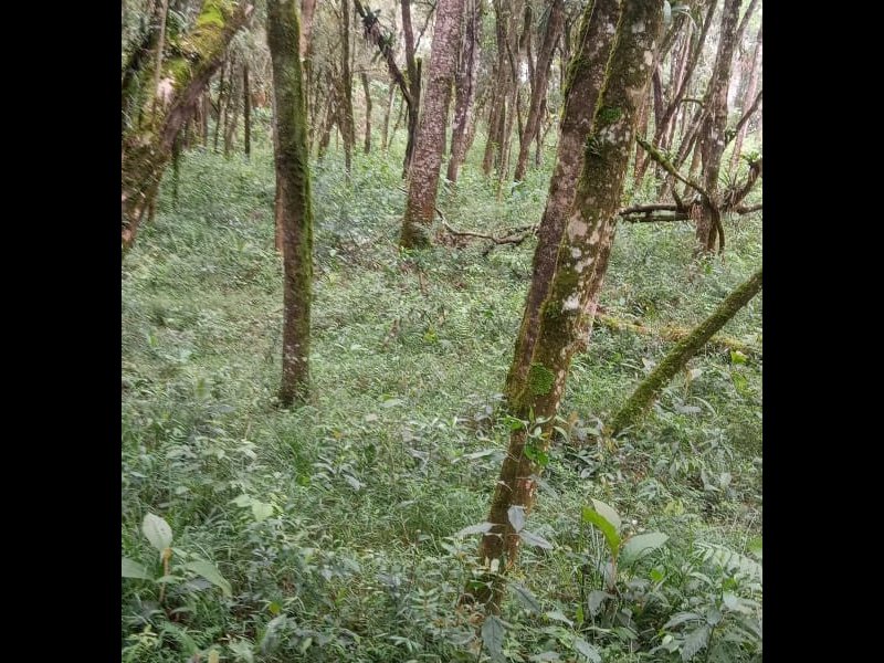 Terreno à venda Centro com 2000m² e 1 quarto por R$ 150.000 - 1145105081-img-20211007-wa0047.jpg
