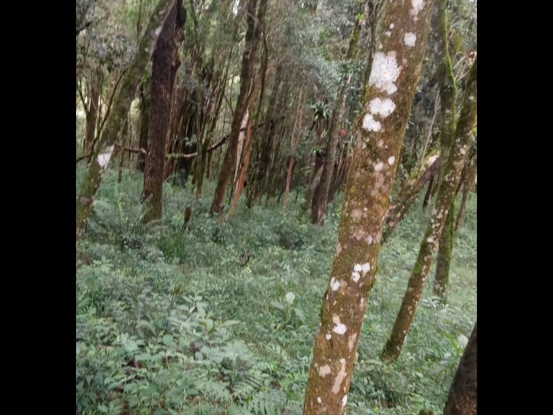 Terreno à venda Centro com 2000m² e 1 quarto por R$ 150.000 - 1307496981-img-20211007-wa0044.jpg
