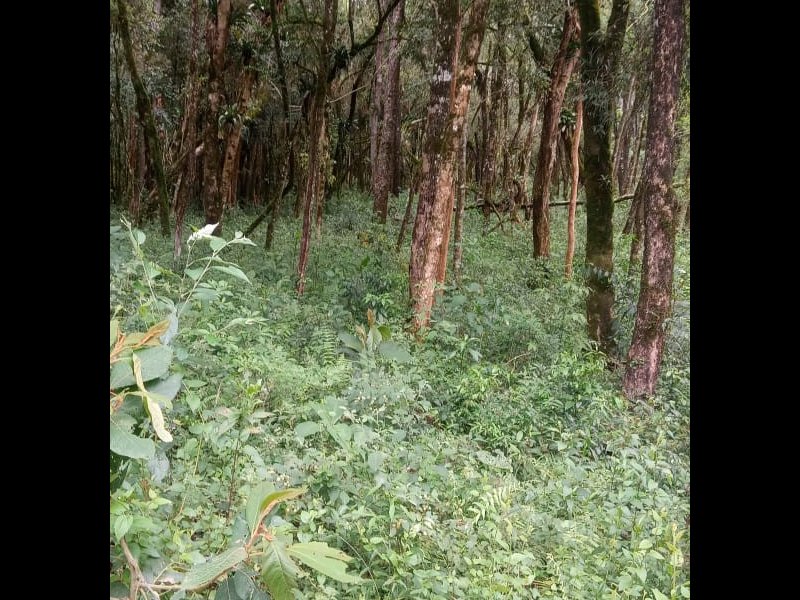 Terreno à venda Centro com 2000m² e 1 quarto por R$ 150.000 - 1336250114-img-20211007-wa0052.jpg