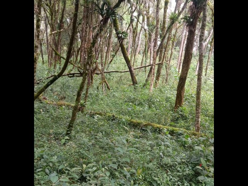 Terreno à venda Centro com 2000m² e 1 quarto por R$ 150.000 - 140422223-img-20211007-wa0056.jpg