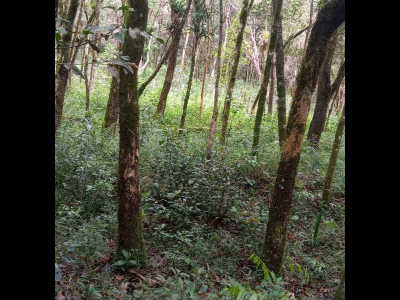 Terreno à venda Centro com 2000m² e 1 quarto por R$ 150.000 - 1598517019-img-20211007-wa0050.jpg