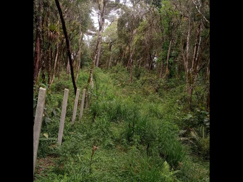 Terreno à venda Centro com 2000m² e 1 quarto por R$ 150.000 - 1671524859-img-20211007-wa0051.jpg