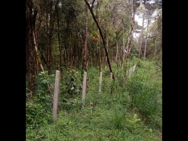 Terreno à venda Centro com 2000m² e 1 quarto por R$ 150.000 - 23655344-img-20211007-wa0055.jpg