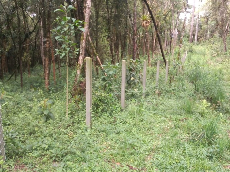 Terreno à venda Centro com 2000m² e 1 quarto por R$ 150.000 - 703187617-img-20211007-wa0048.jpg