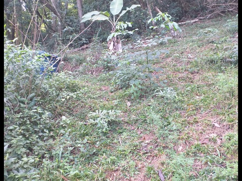 Terreno à venda Engenho do Mato com 15m² e 1 quarto por R$ 35.000 - 1346656400-img-20210823-1758377727379554236436365.jpg