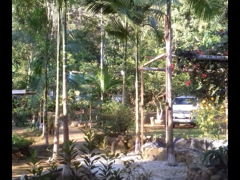 Sítio à venda Centro (Paraty) com 56m² e 2 quartos por R$ 1.500.000 - 799357217-img-20210401-wa0016.jpg