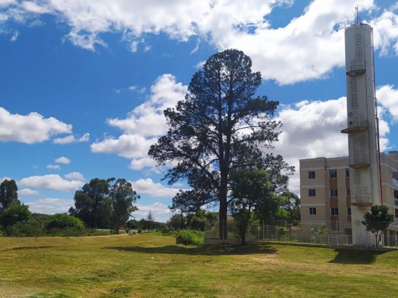Apartamento à venda Cidade Jardim com 46m² e 2 quartos por R$ 225.000 - 1225631489-img-20210622-wa0020.jpg