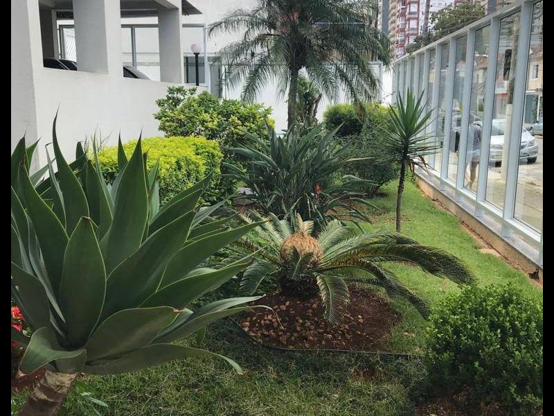 imóvel com 50m² - Vila Gomes Cardim - São Paulo