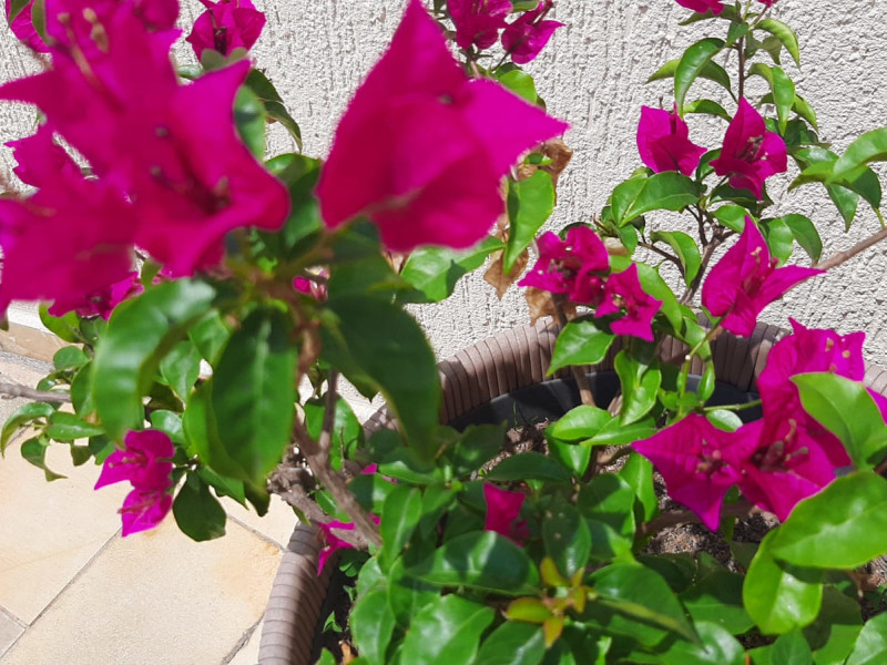 Cobertura à venda Pechincha com 178m² e 3 quartos por R$ 750.000 - whatsapp-image-2022-10-11-at-111027.jpeg