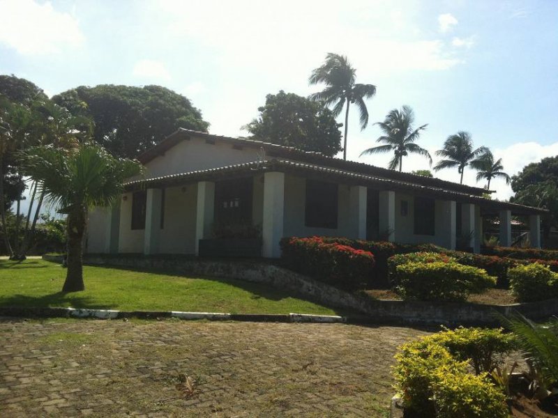 Sítio à venda Centro com 8400m² e 5 quartos por R$ 1.500.000 - 494328244-a846b3a8-7d10-44a1-8e62-103262c98041.jpeg