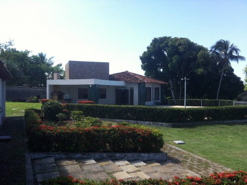 Sítio à venda Centro com 8400m² e 5 quartos por R$ 1.500.000 - 505409745-6ab8d5c5-99e3-4df0-82c5-7ec5eae7b083.jpeg