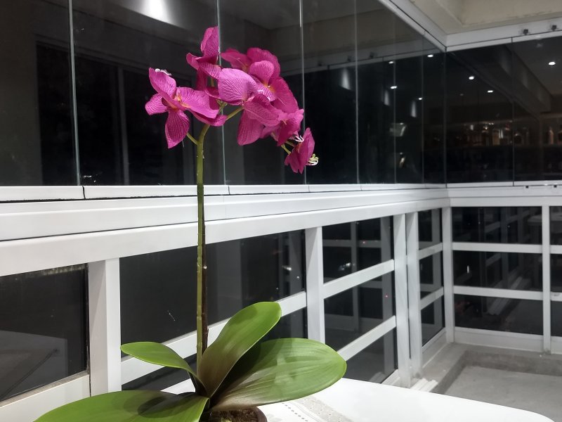 imóvel com 70m² - Vila Belmiro - Santos