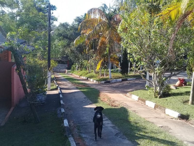 Chácara à venda Recreio Bela Vista com 510m² e 3 quartos por R$ 1.450.000 - 1398940457-img-20201130-wa0139.jpg