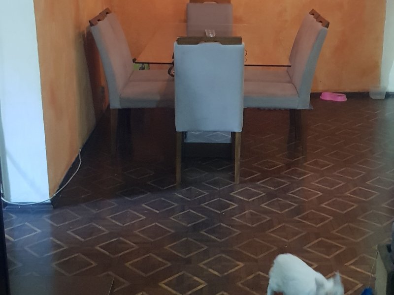 Apartamento à venda Presidente Altino com 68m² e 2 quartos por R$ 380.000 - 2001749311-20210809-161502.jpg