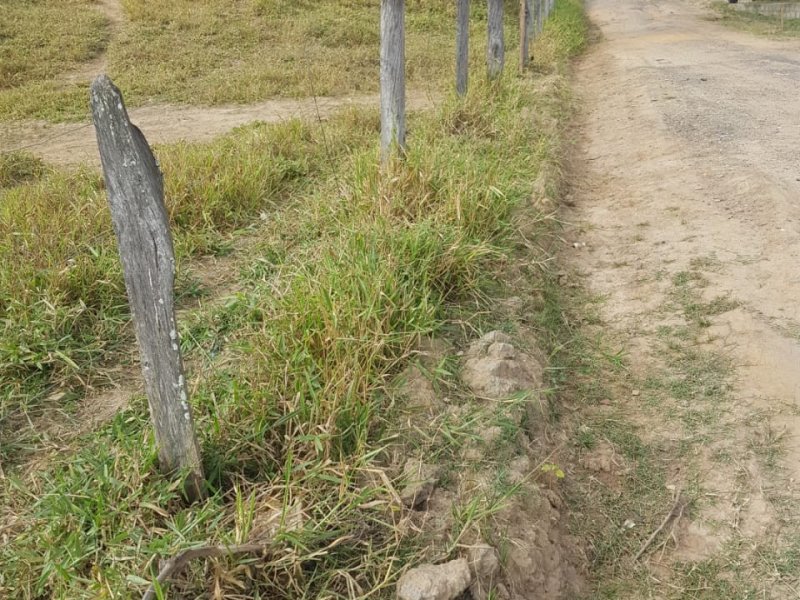 Terreno à venda Pedro Leme com 1000m² e 1 quarto por R$ 150.000 - 462071997-whatsapp-image-2021-05-06-at-09.jpeg