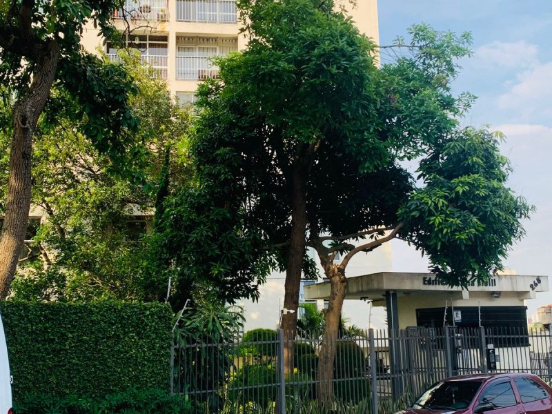 Apartamento à venda Jardim Morro Verde com 70m² e 2 quartos por R$ 360.000 - 111457080-whatsapp-image-2022-02-01-at-14.jpeg