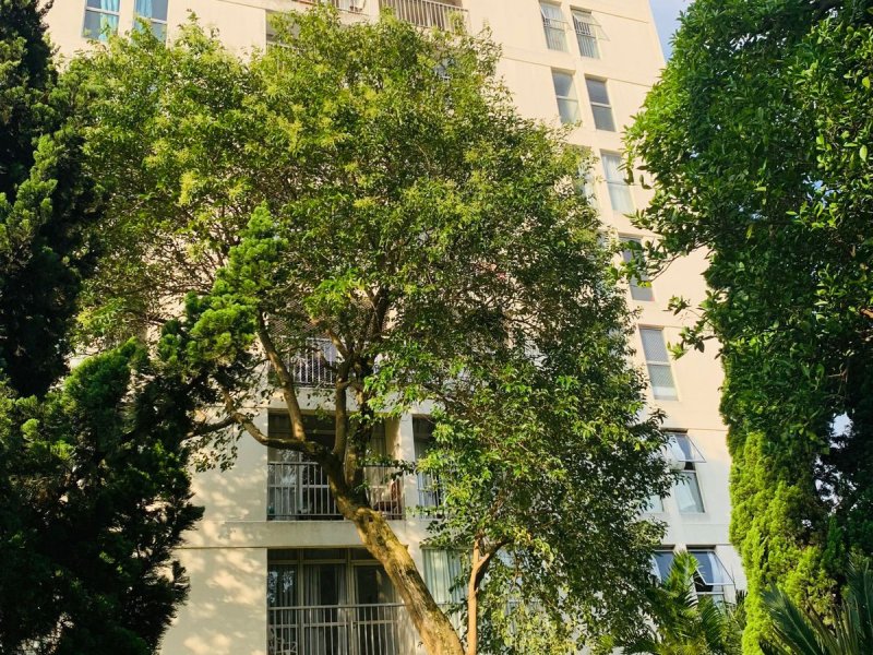 Apartamento à venda Jardim Morro Verde com 70m² e 2 quartos por R$ 360.000 - 1477425395-whatsapp-image-2022-02-01-at-14.jpeg