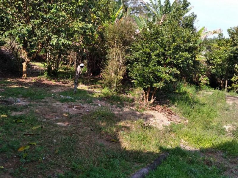 Casa à venda Forquilhas com 369m² e 6 quartos por R$ 300.000 - 2034961891-dc2122a5-1bb5-421a-b015-0cb18d364226.jpg