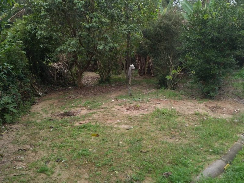 Casa à venda Forquilhas com 369m² e 6 quartos por R$ 300.000 - 840546040-7724bdcb-59ab-4453-9ef8-74a5cb3e8eb8.jpg