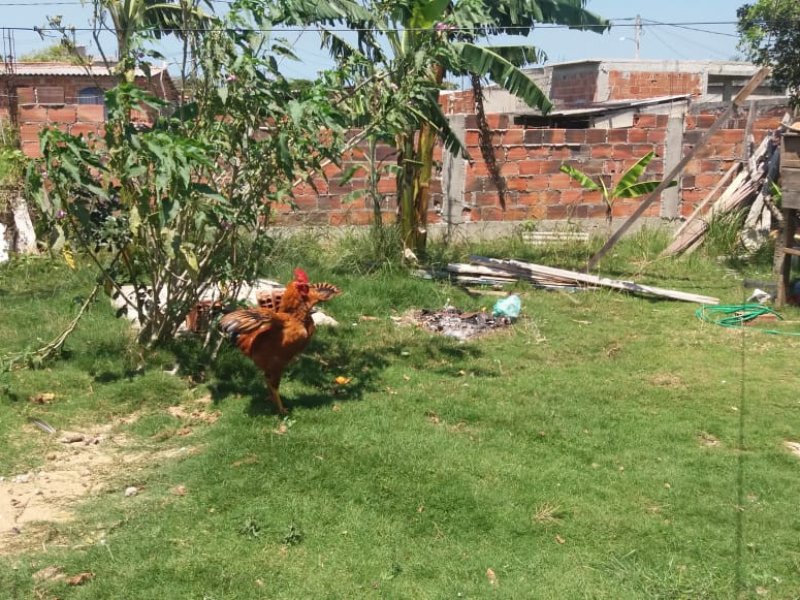 Casa à venda Iguabinha com 360m² e 2 quartos por R$ 35.000 - 1880808562-img-20211007-wa0024.jpg
