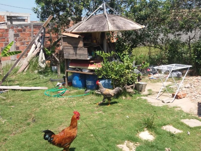 Casa à venda Iguabinha com 360m² e 2 quartos por R$ 35.000 - 661968729-img-20211007-wa0023.jpg