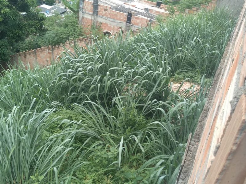 Casa à venda Ouro Preto com 350m² e 4 quartos por R$ 320.000 - 1963017468-whatsapp-image-2020-11-29-at-11.jpeg