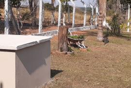Chácara à venda Jardim Santa Antonieta com 5000m² - 1 dormitório -  vagas - R$ 460.000 - 1955072725-85fcb4c5-882c-44d4-b401-eb445e6f40d3.jpg