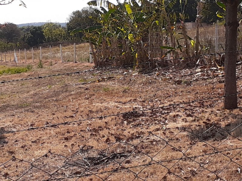 Chácara à venda Jardim Santa Antonieta com 5000m² e 1 quarto por R$ 460.000 - 1244893041-31c06a0d-e9b3-4fc5-80ed-4bc2c1dca8df.jpg