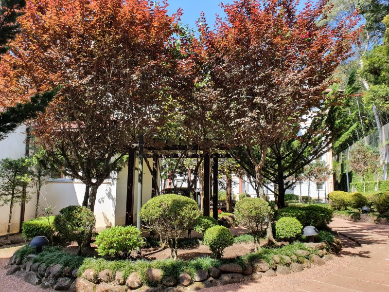 imóvel com 60m² - centro - Gramado