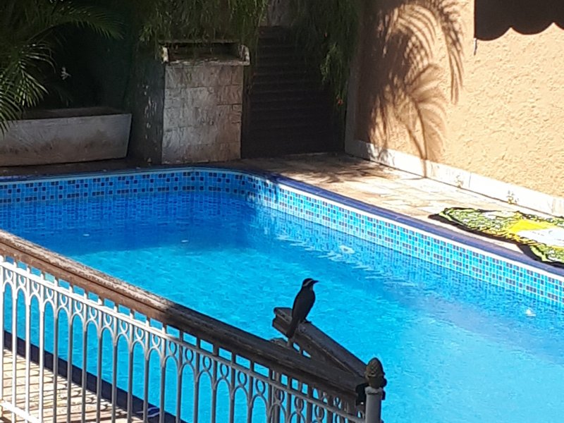 Casa à venda Parada Quarenta com 225m² e 3 quartos por R$ 690.000 - 1897510078-20190427-132019.jpg