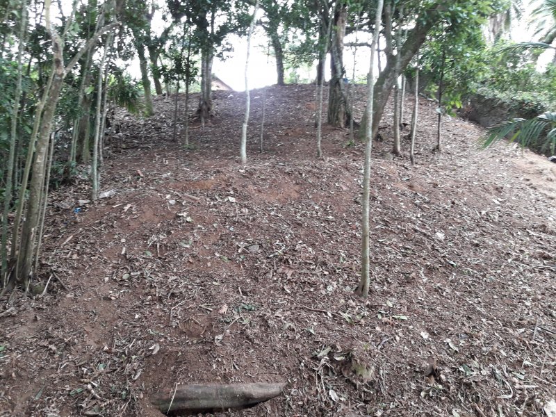 Terreno à venda Carlos Guinle com 565m² e 1 quarto por R$ 350.000 - 1130222974-20180912-145843.jpg