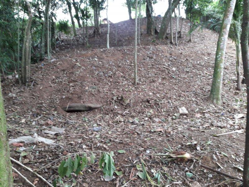 Terreno à venda Carlos Guinle com 565m² e 1 quarto por R$ 350.000 - 1366432625-20180912-150933.jpg