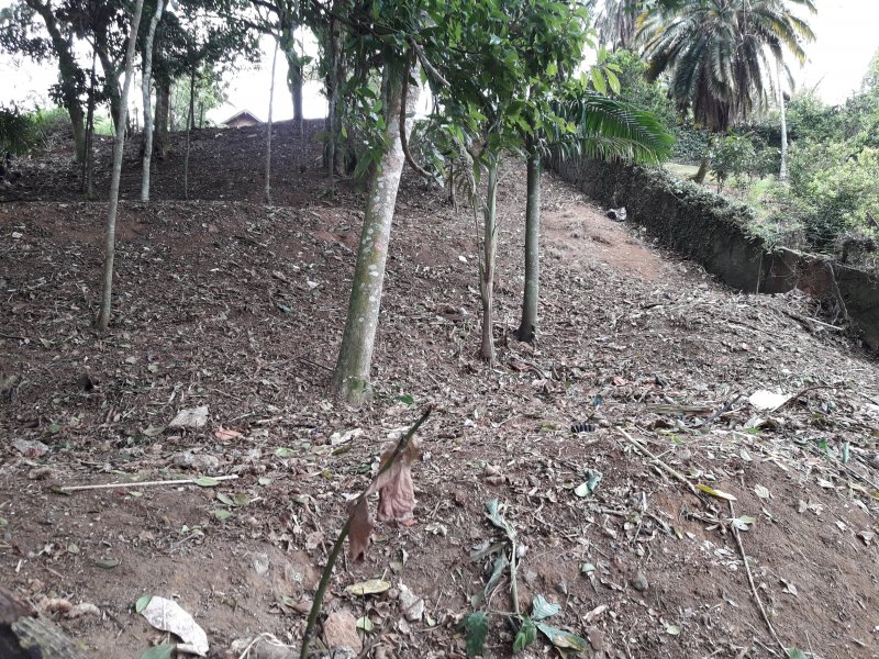 Terreno à venda Carlos Guinle com 565m² e 1 quarto por R$ 350.000 - 1522020015-20180912-151052.jpg