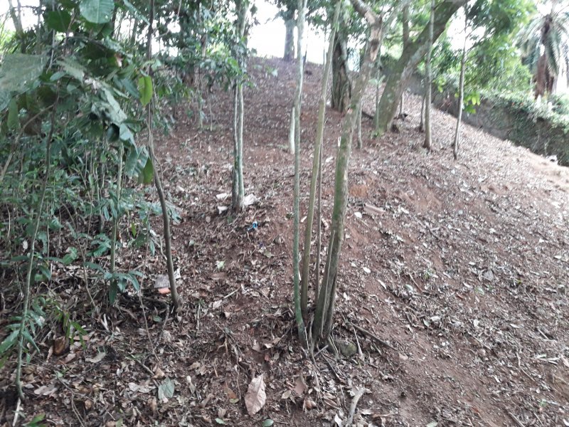 Terreno à venda Carlos Guinle com 565m² e 1 quarto por R$ 350.000 - 1652983714-20180912-145828.jpg
