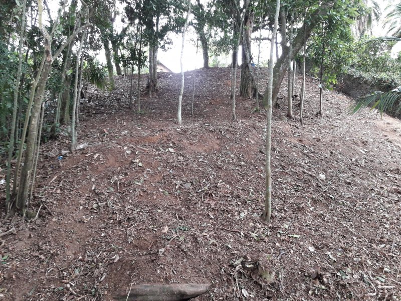 Terreno à venda Carlos Guinle com 565m² e 1 quarto por R$ 350.000 - 212455664-20180912-145845.jpg